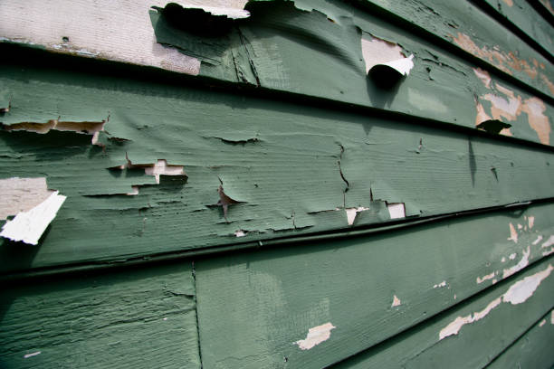 Same-Day Junk Removal Services in West Chicago, IL